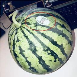 网红吃瓜平台有哪些,热门话题背后的娱乐江湖  第1张