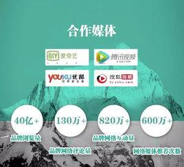 央美爆料实时新闻网,揭秘艺术界最新动态与热点事件  第1张