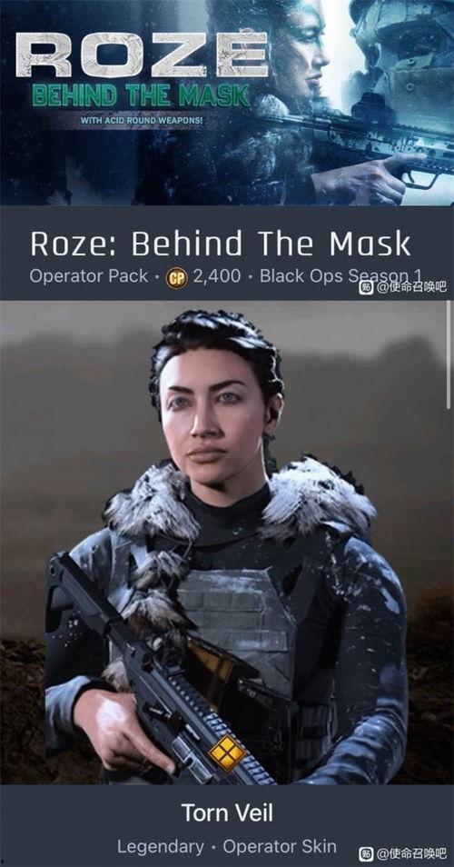 战区组合包最新爆料,揭秘神秘战区组合，战力升级一触即发！